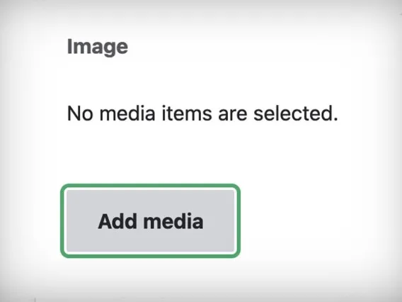 no image found