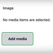 no image found